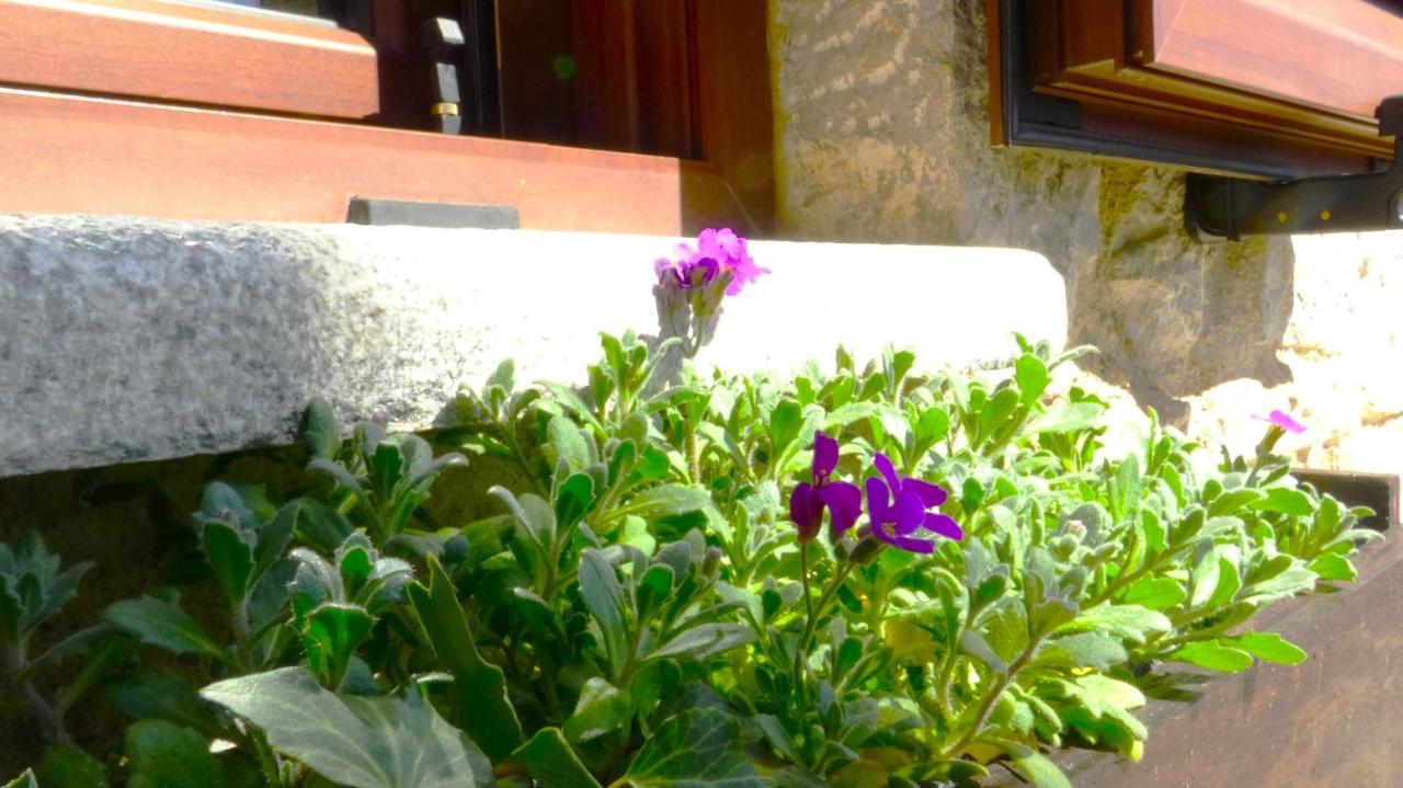Αντίρρινο - Guest House Arachova Exterior photo